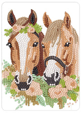 Diamond Art Heste 13X18Cm