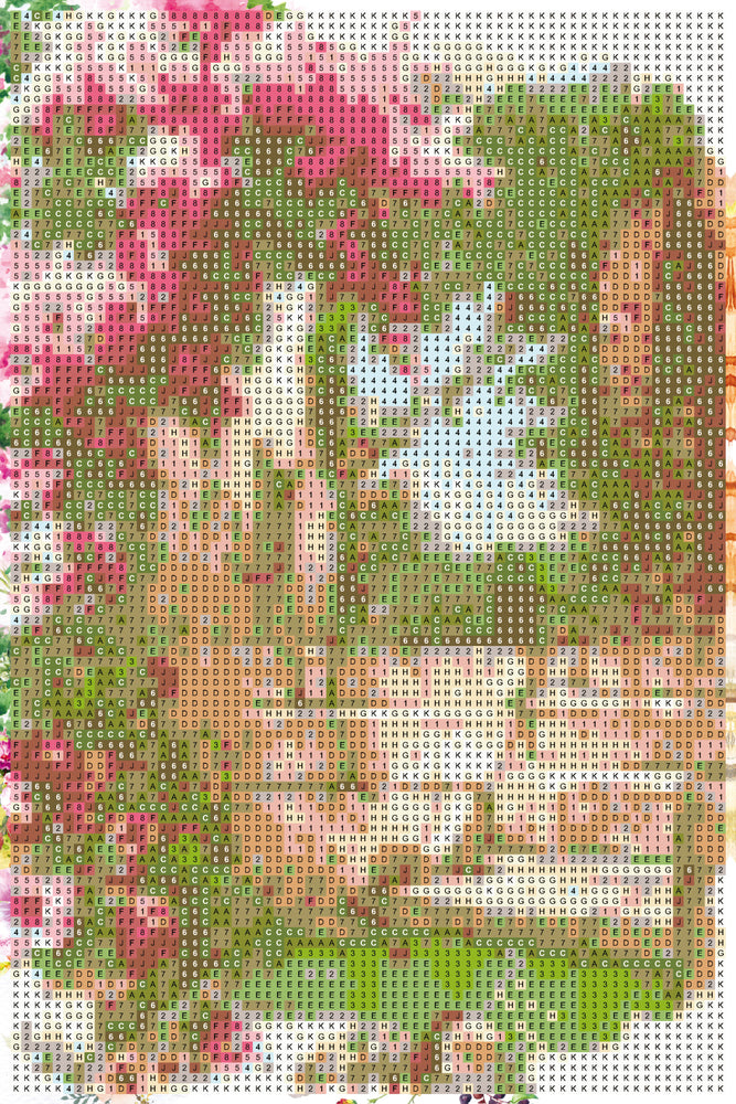 Diamond Art Lyserøde Roser 20X30Cm
