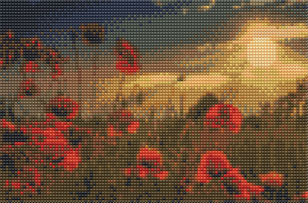 Diamond Art Valmuer/Natur 20X30Cm