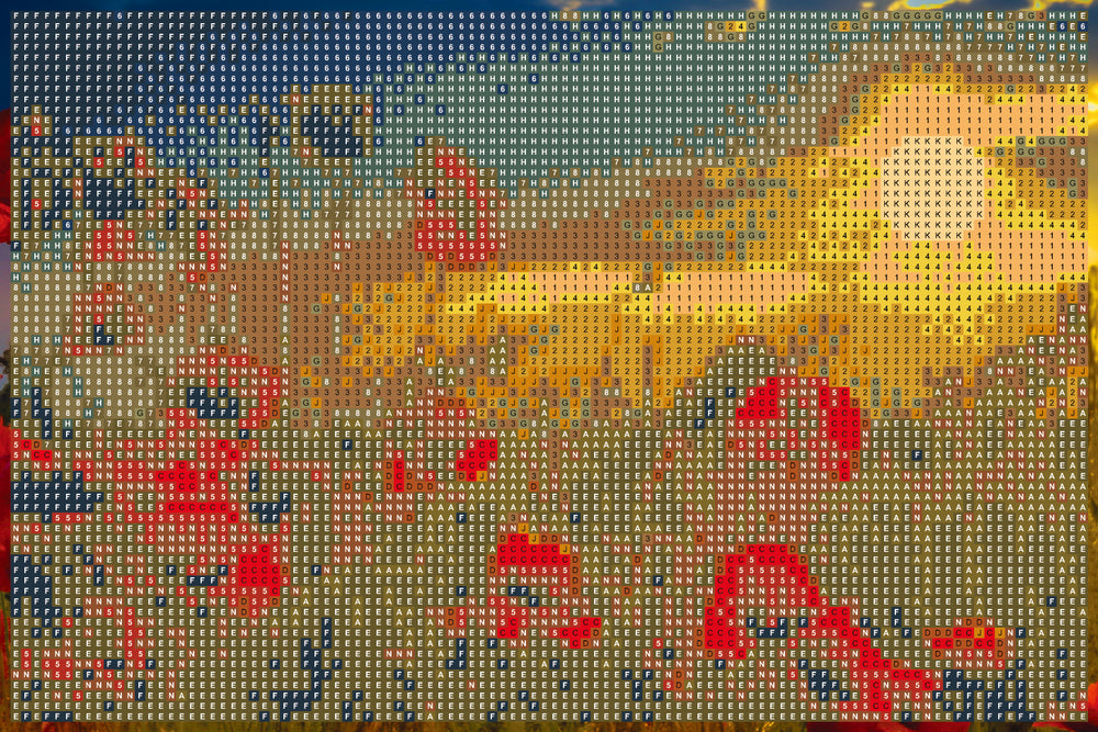 Diamond Art Valmuer/Natur 20X30Cm