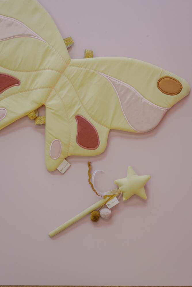 Dress-up - Fairy