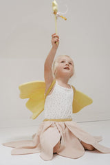 Dress-up - Fairy
