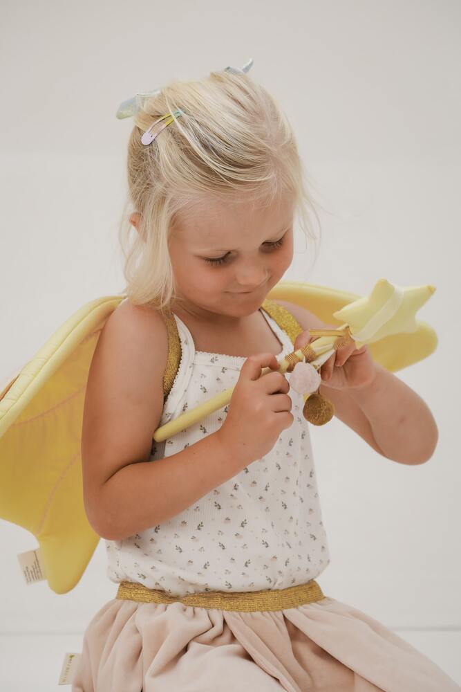 Dress-up - Fairy