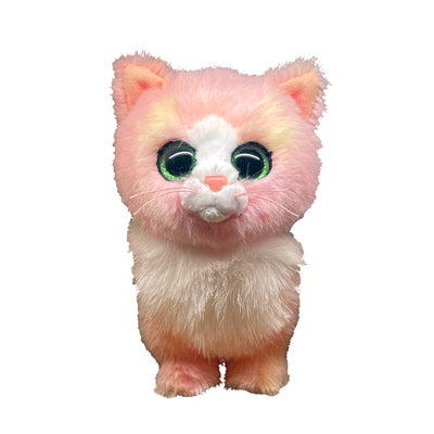TY Cat beanie boos