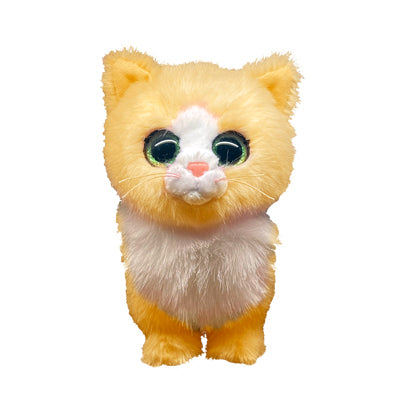 TY Tabbycat beanie boos