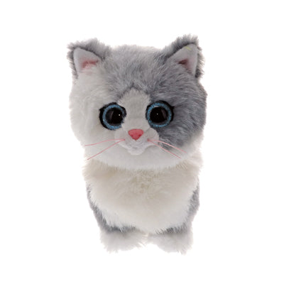 TY Cat beanie boos