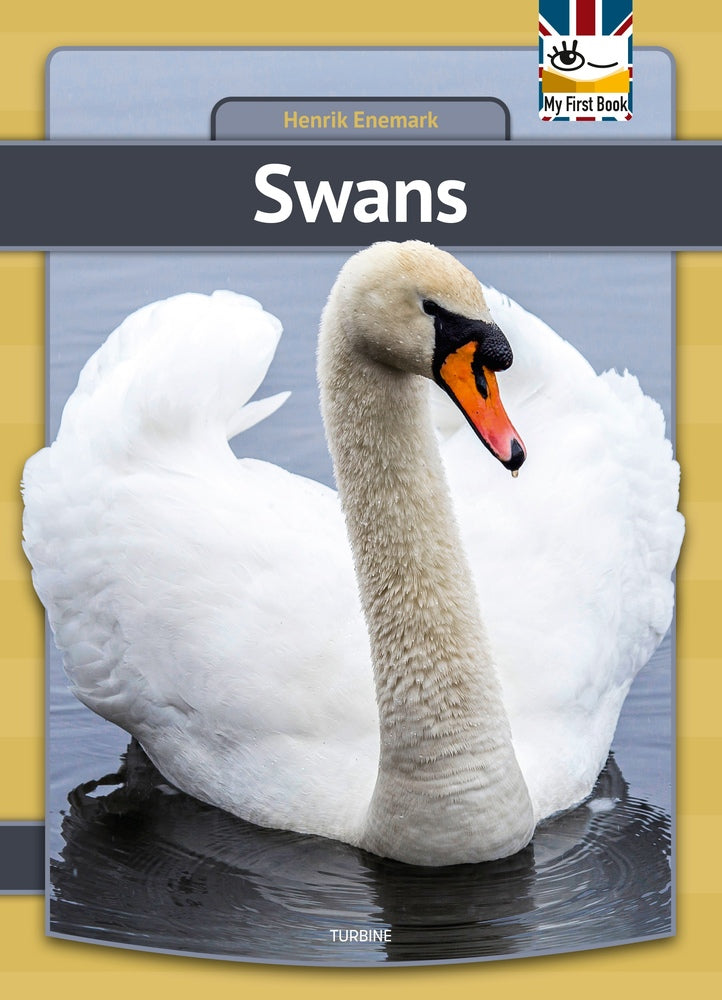 Swans