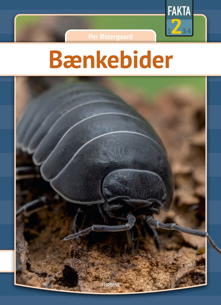 Bænkebider