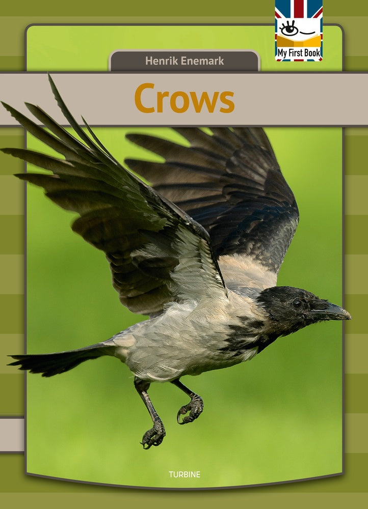 Crows
