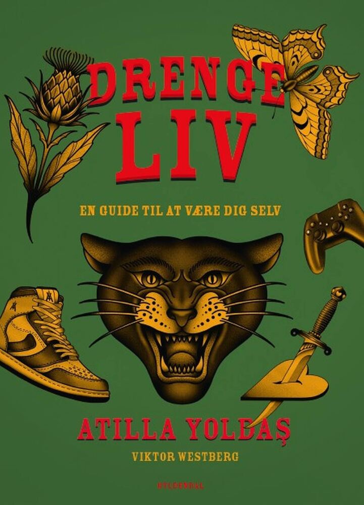 Drengeliv - en guide til at være dig selv