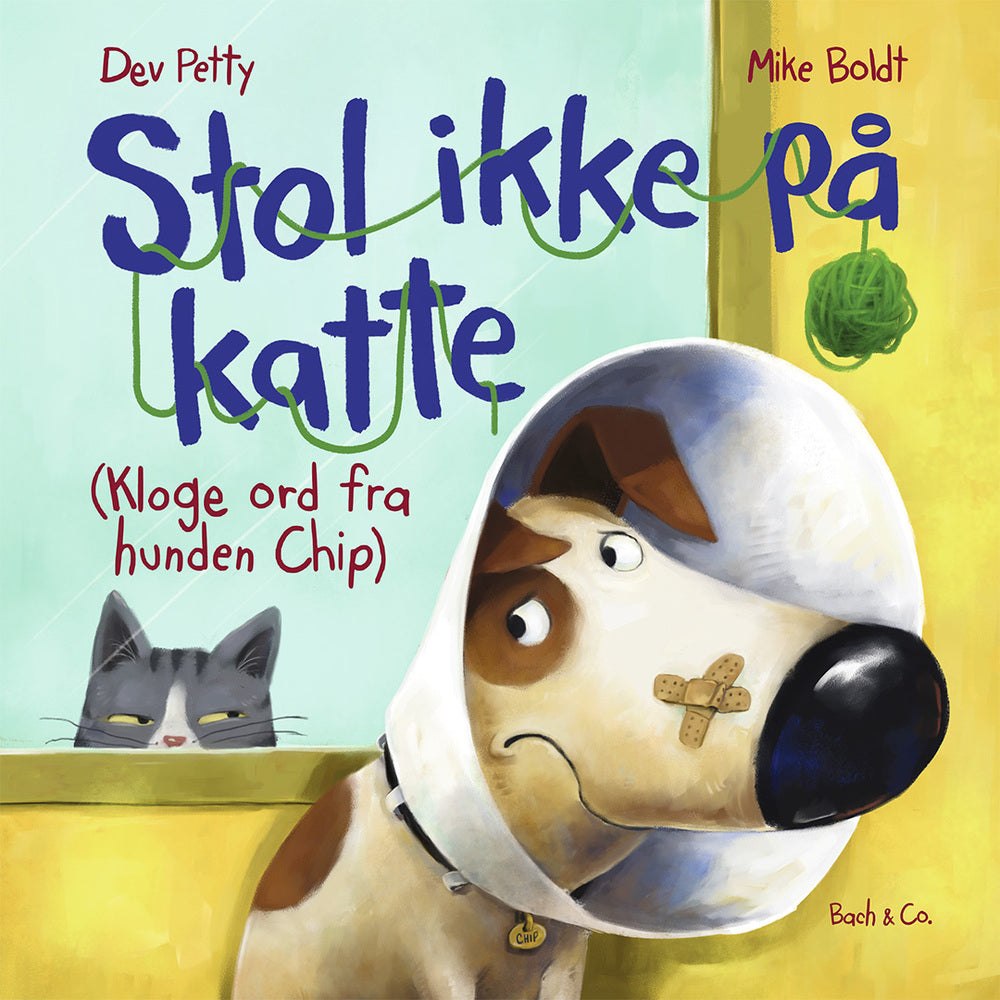 Stol ikke på katte
