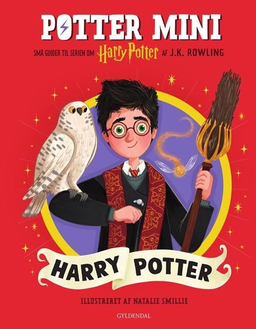 D1 Potter Mini - Harry Potter