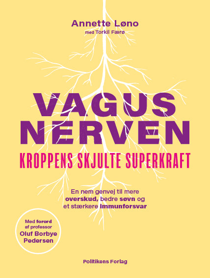D2 Vagusnerven