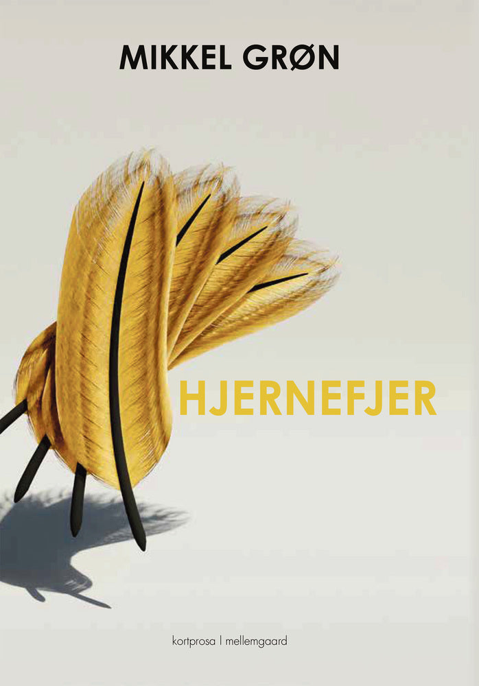 HJERNEFJER
