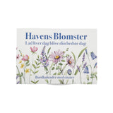 Citat Evigheds Afrivningskalender Blomster 366 Dage