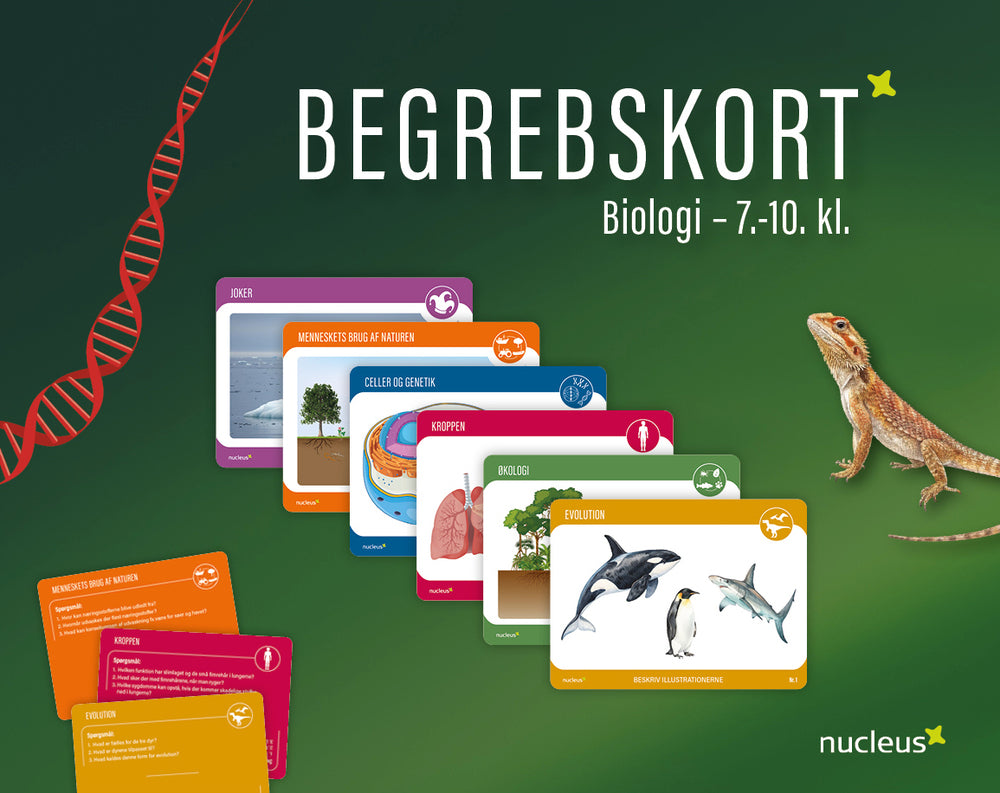 BEGREBSKORT