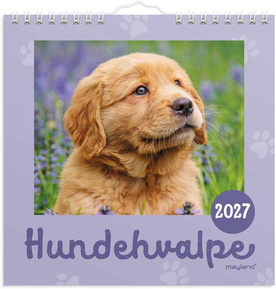 Vægkalender 2027 hundehvalpe Mayland 16 x 16 cm