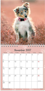 Vægkalender 2027 hundehvalpe Mayland 16 x 16 cm