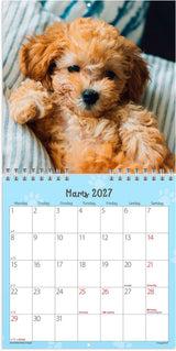 Vægkalender 2027 hundehvalpe Mayland 16 x 16 cm