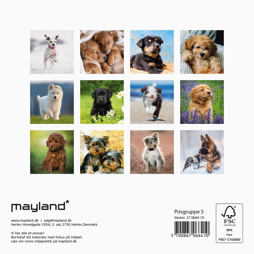 Vægkalender 2027 hundehvalpe Mayland 16 x 16 cm