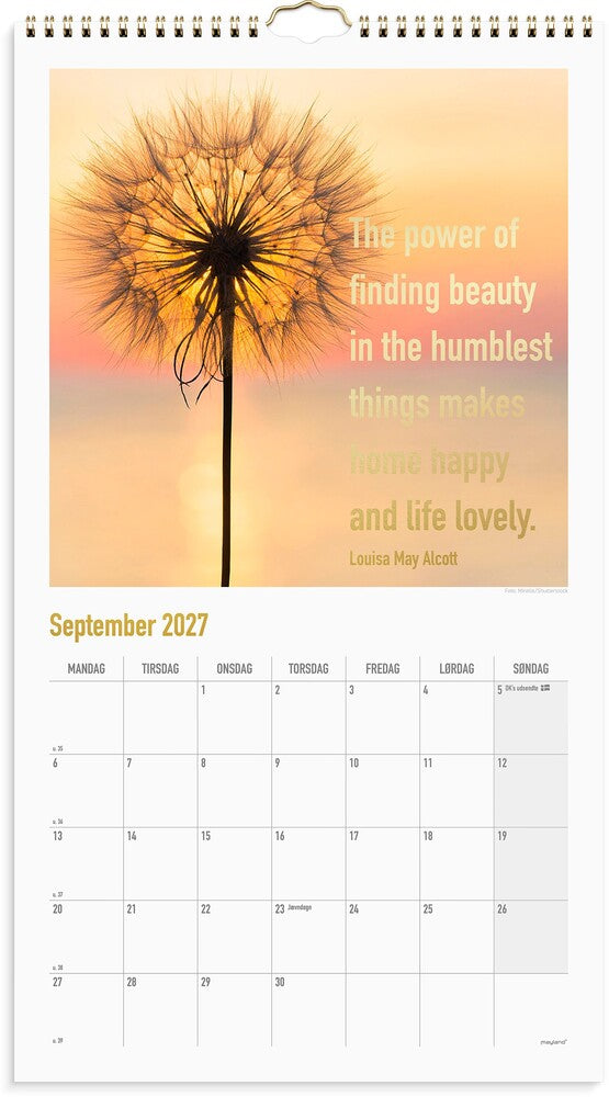 Vægkalender 2027 dream & do Mayland 25 x 45 cm
