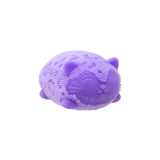 NeeDoh fuzz ball wild cats ass