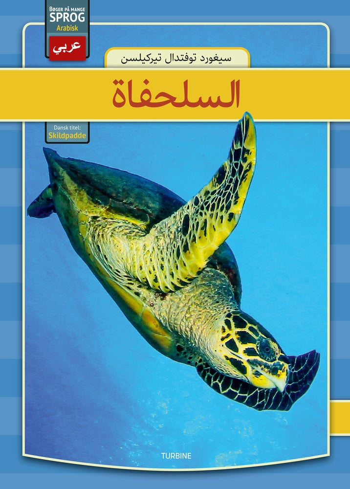 Skildpadder - arabisk