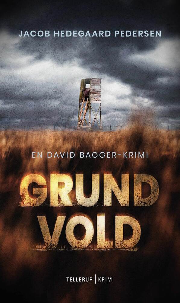 En David Bagger krimi #1: Grundvold
