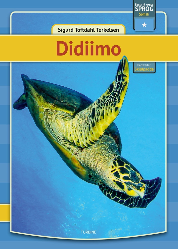 Skildpadder - somali