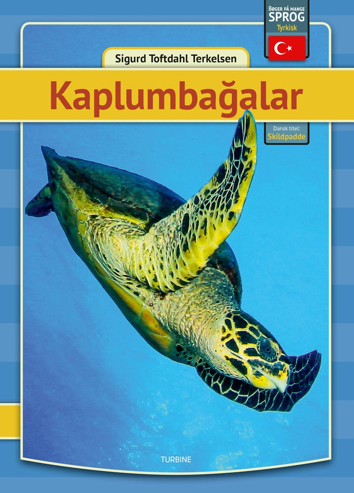 Skildpadder - tyrkisk