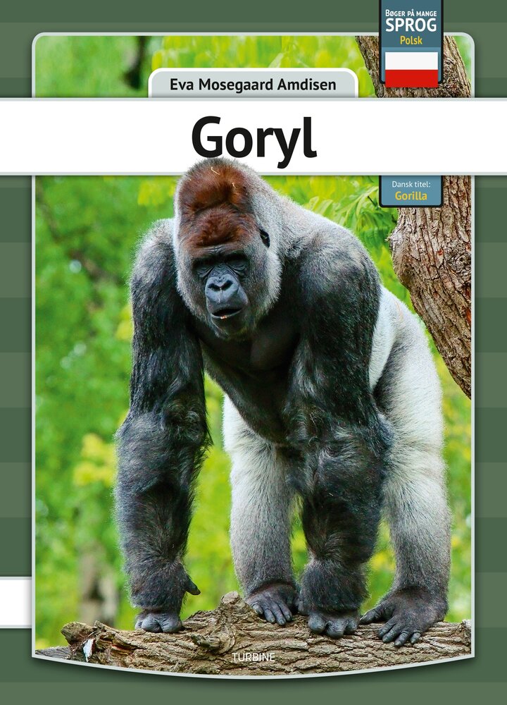 Gorilla - polsk