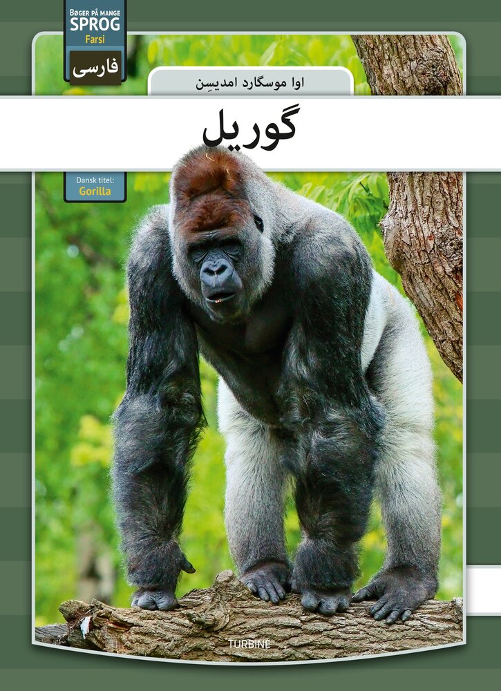 Gorilla - farsi