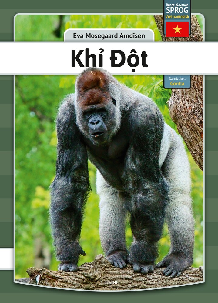 Gorilla - vietnamesisk