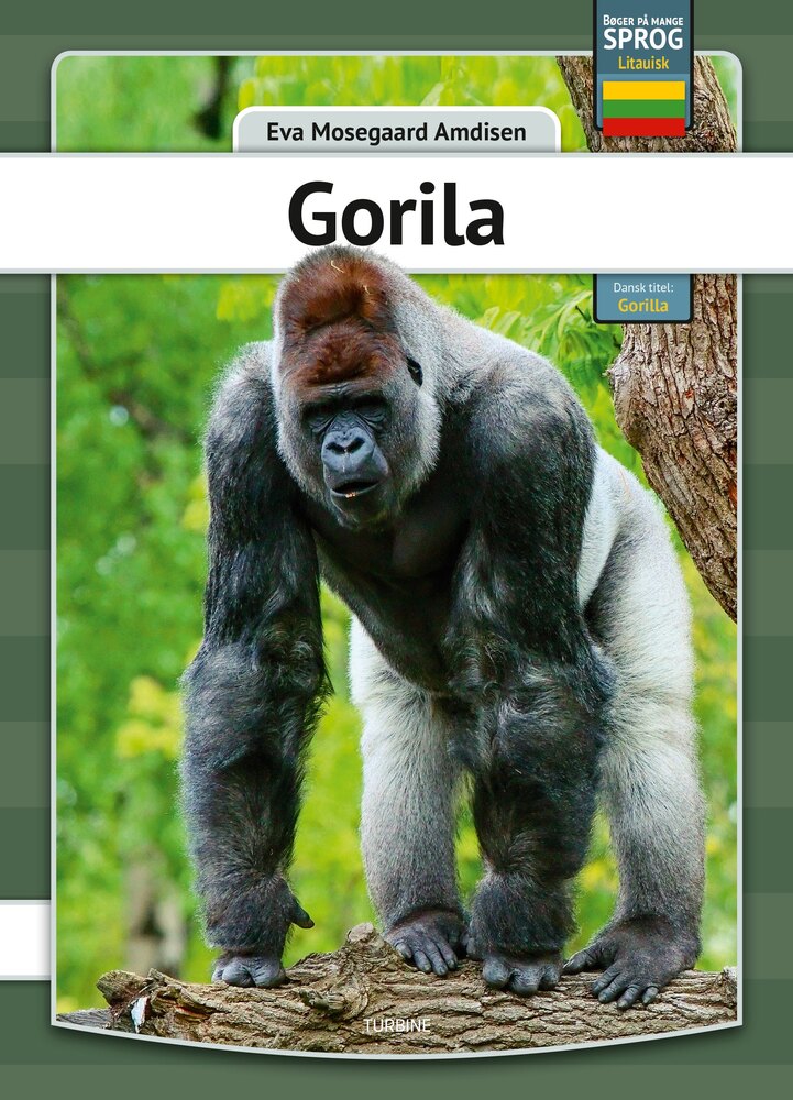 Gorilla - litauisk