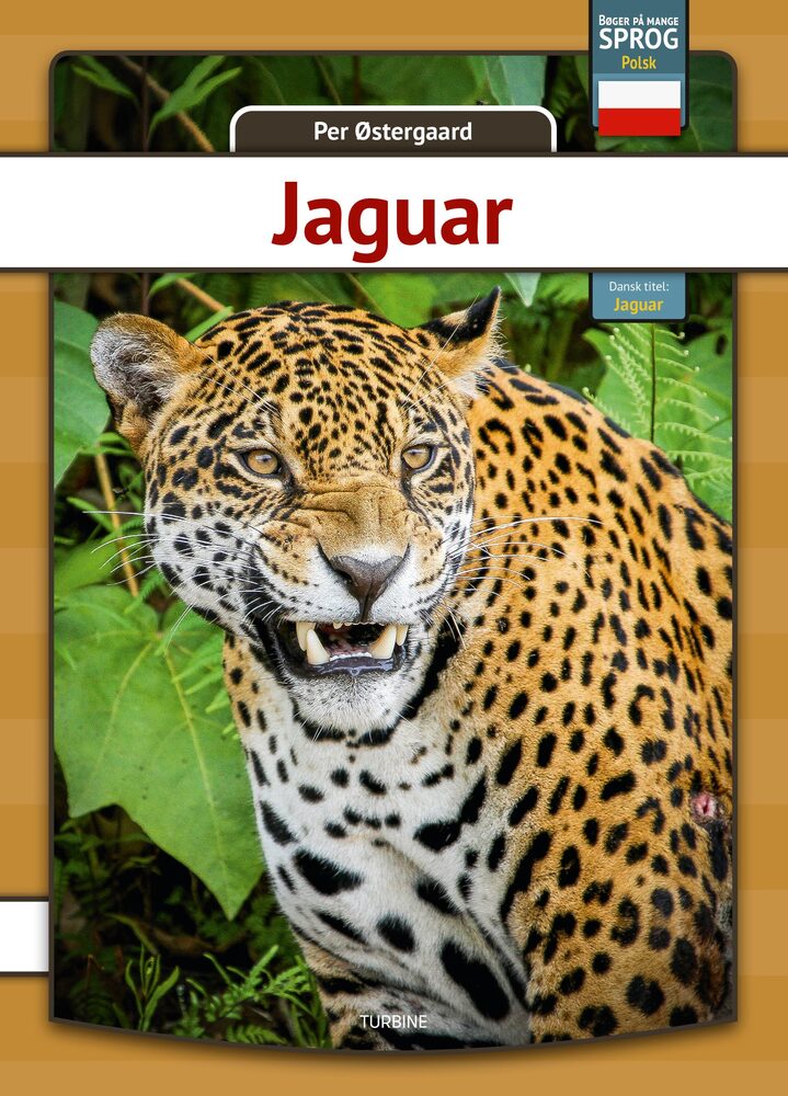 Jaguar - polsk