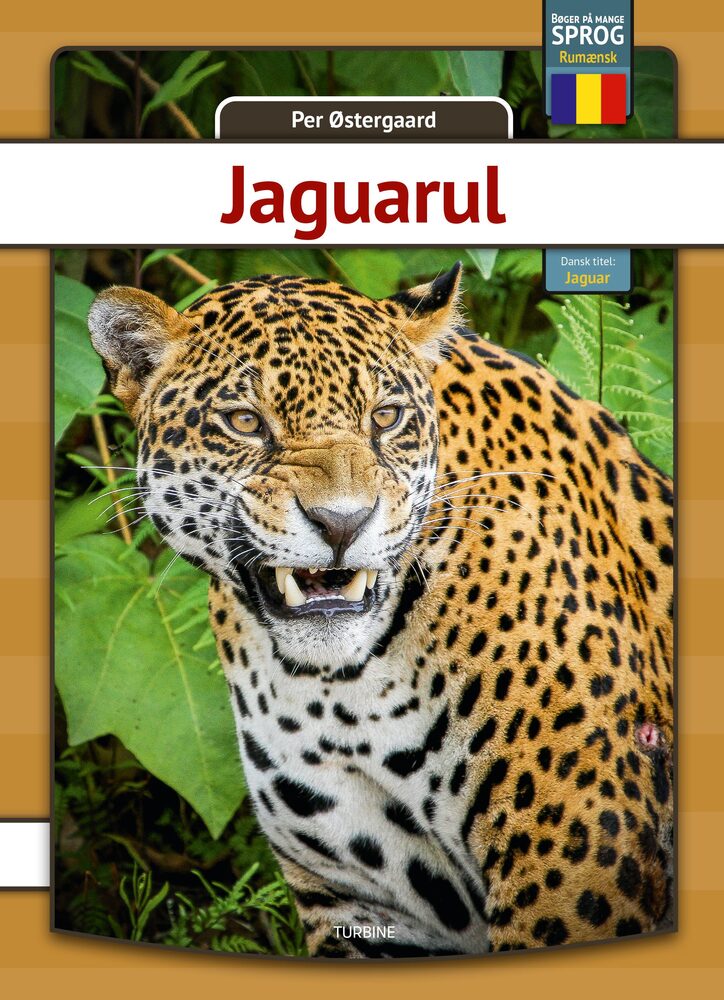 Jaguar - rumænsk