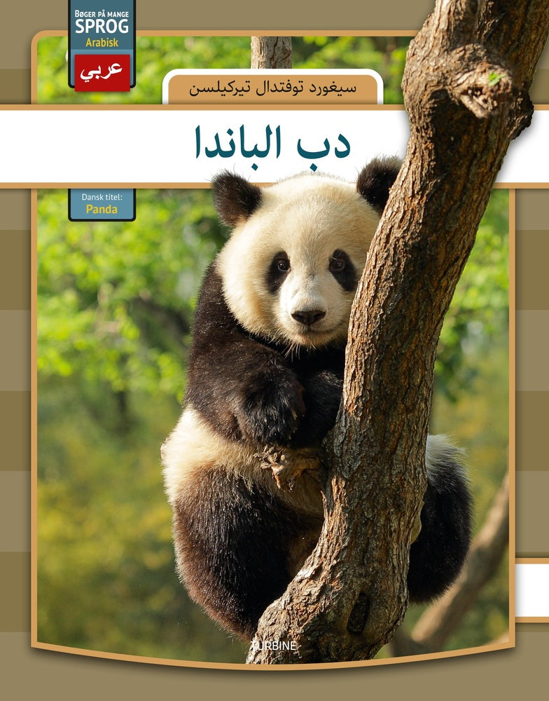 Panda - arabisk