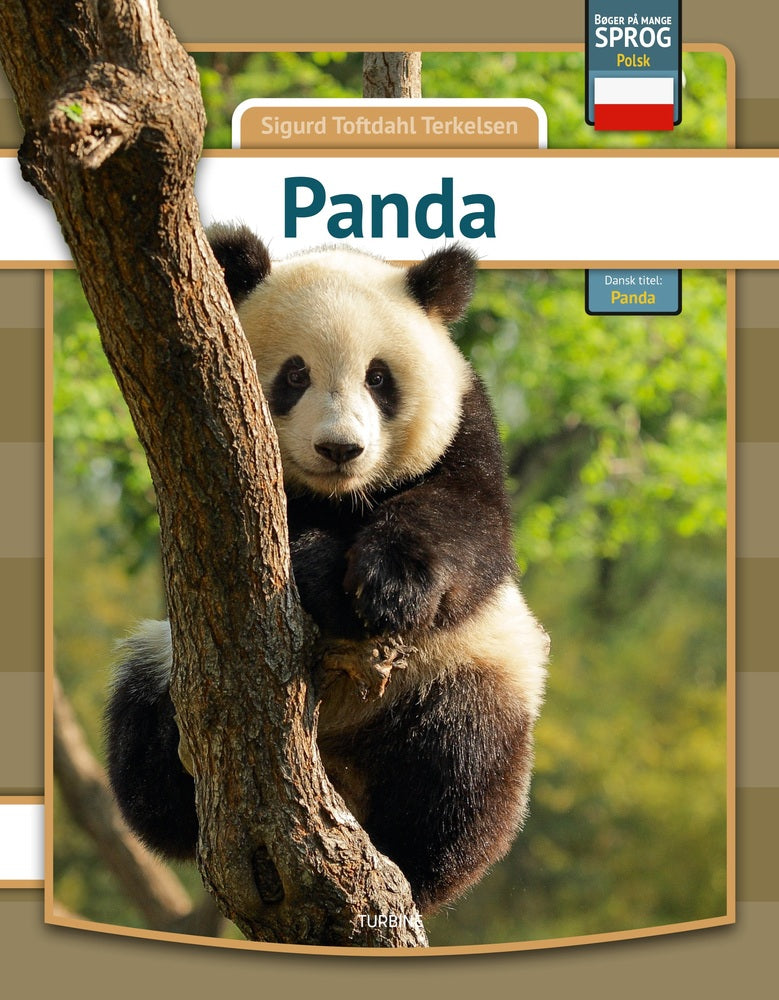 Panda - polsk