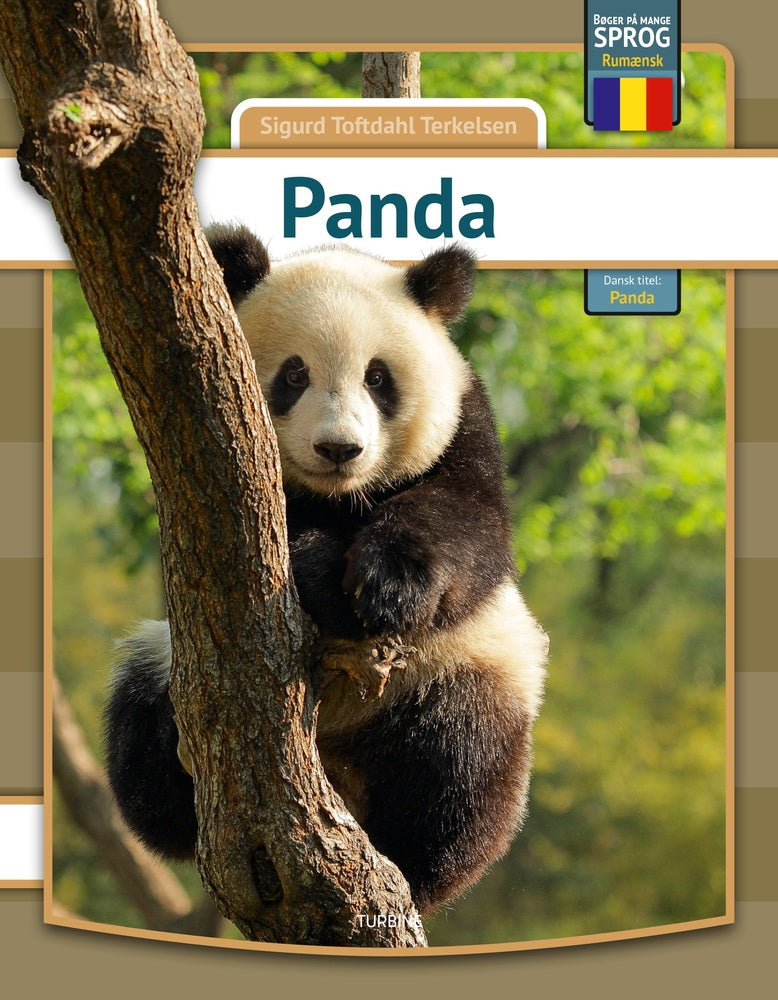 Panda - rumænsk
