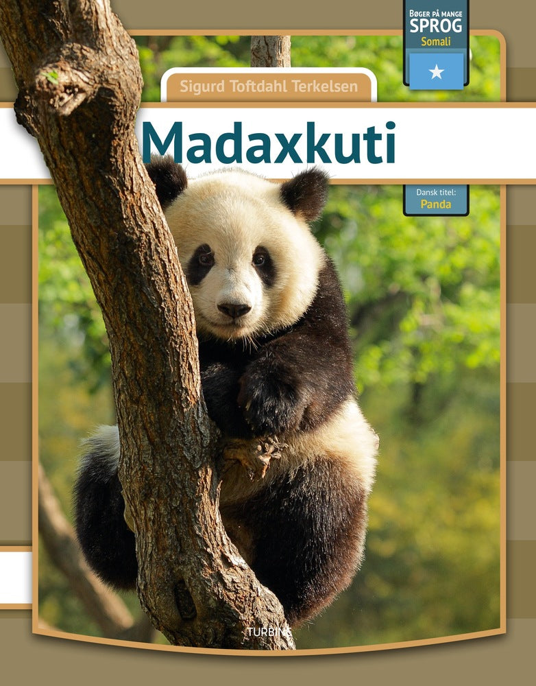 Panda - somali