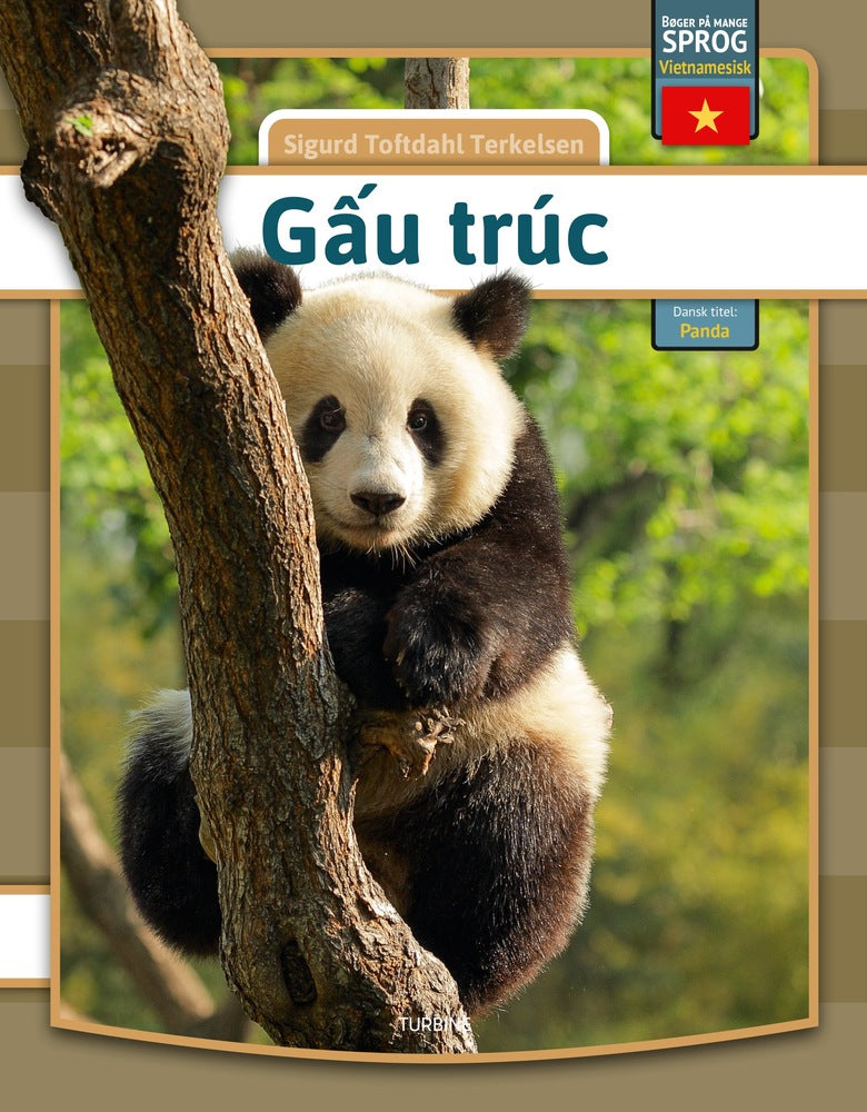 Panda - vietnamesisk