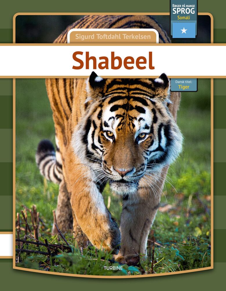 Tiger - somali