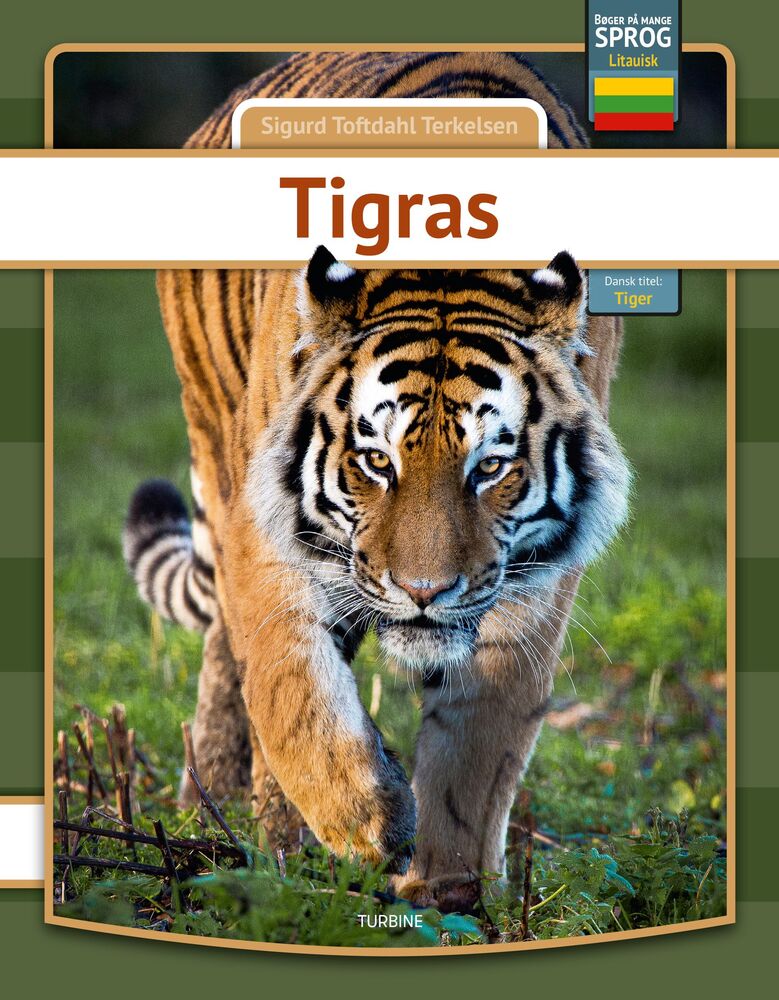 Tiger - litauisk