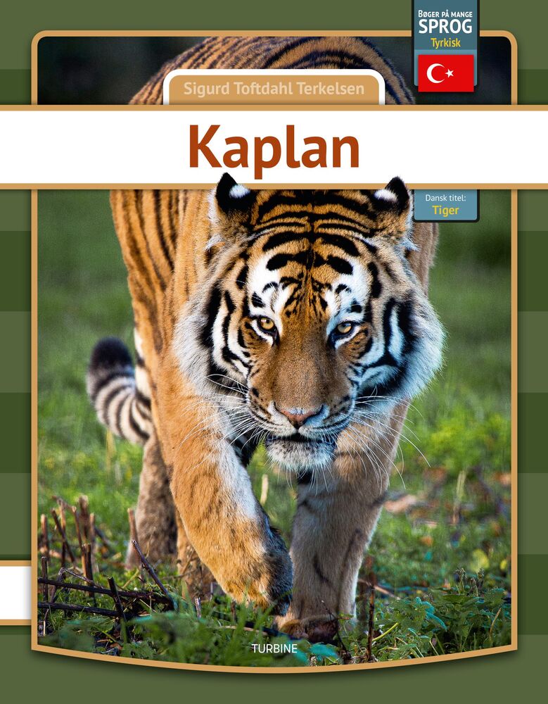 Tiger - tyrkisk