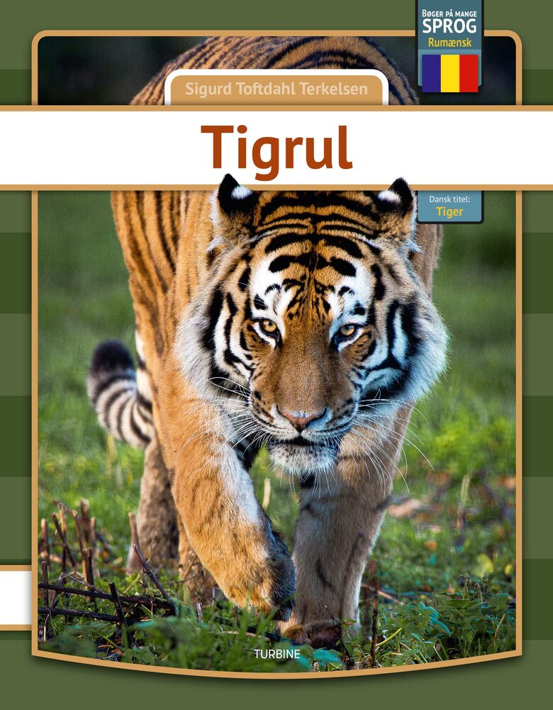Tiger - rumænsk