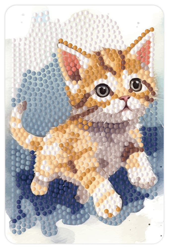 D1 Diamond art kat 10 x 15 cm