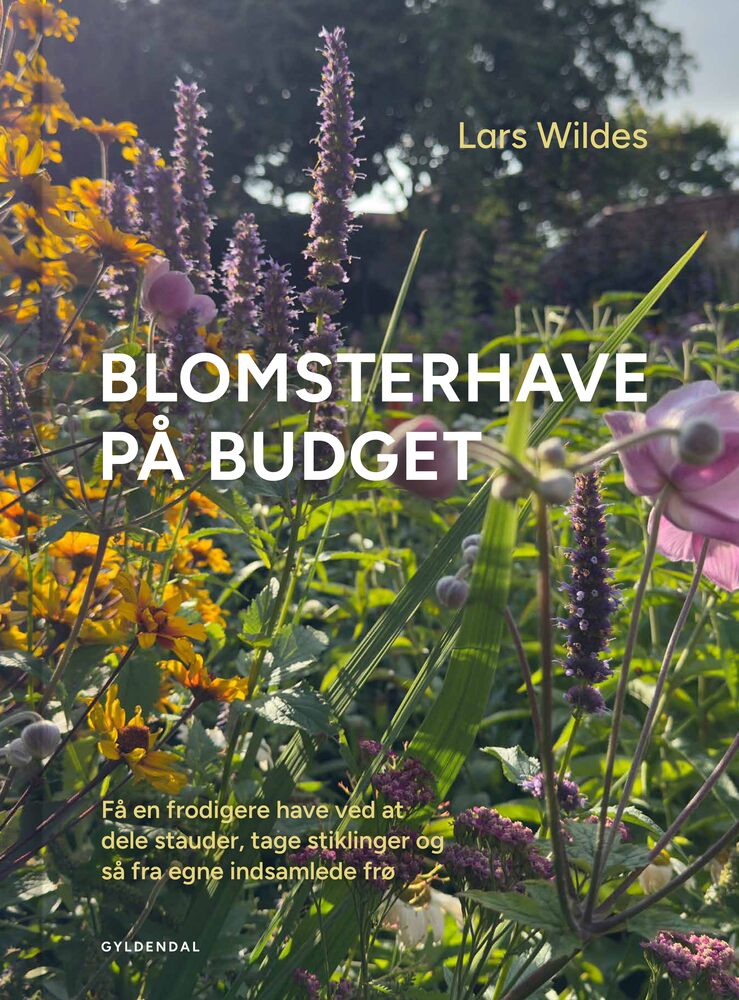 Blomsterhave på budget