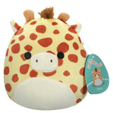 Squishmallows 19 cm ass