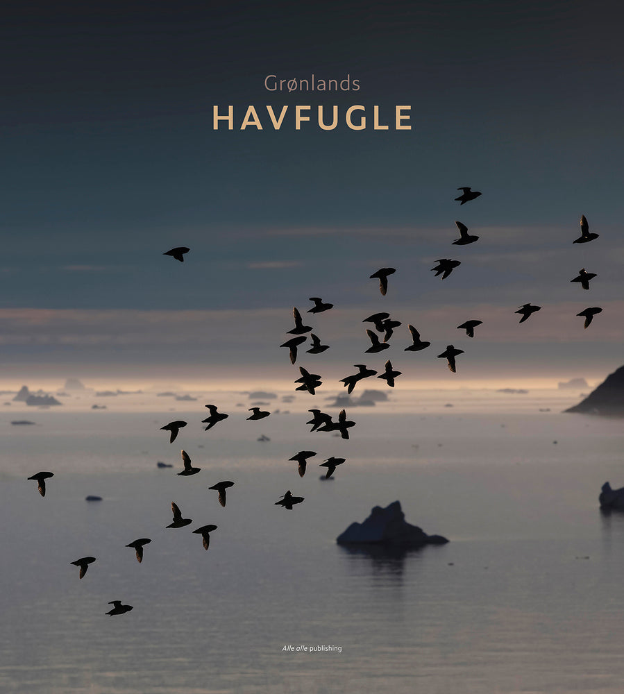 D2 GRØNLANDS HAVFUGLE