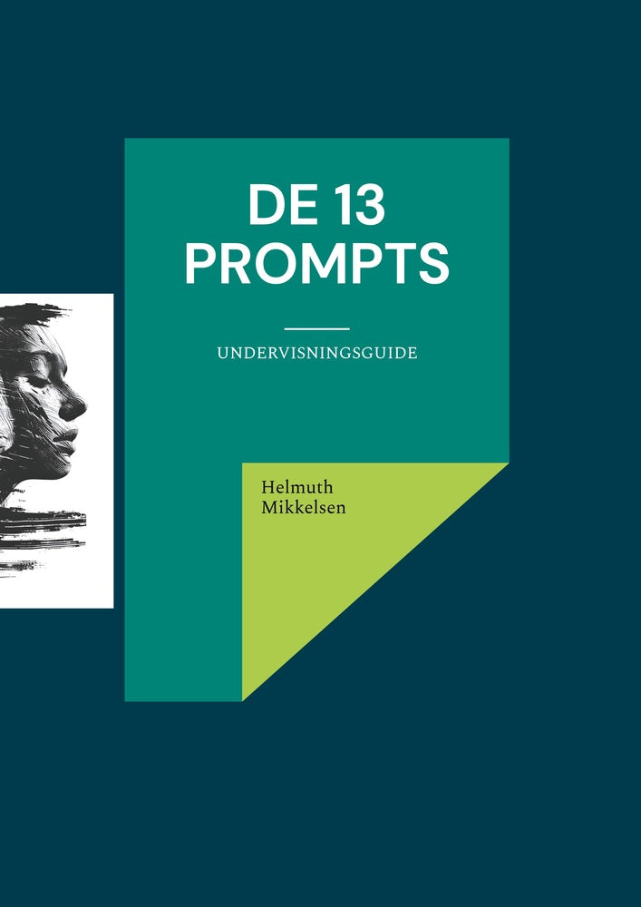 De 13 prompts